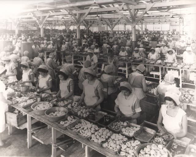 The Cannery
